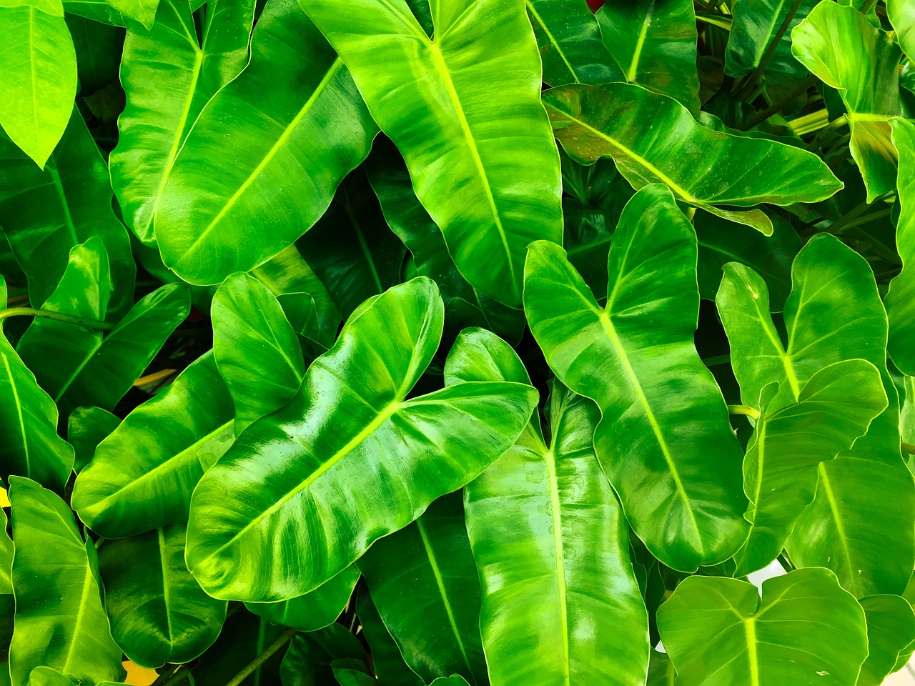 Addressing Common Misconceptions About Green Energy Solutions